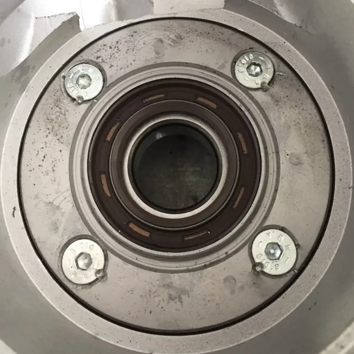 Set Paraoli e Or Motore